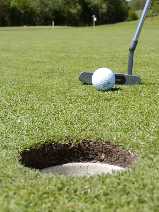 Main image of Arruzafa Golf