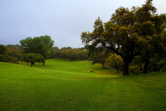 Hauptbild von Real Club de Campo de Cordoba
