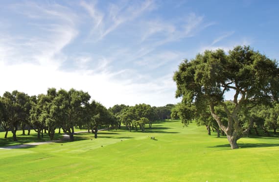 Hauptbild von Real Club Valderrama