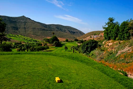 Cover of album 1 from La Envia Golf