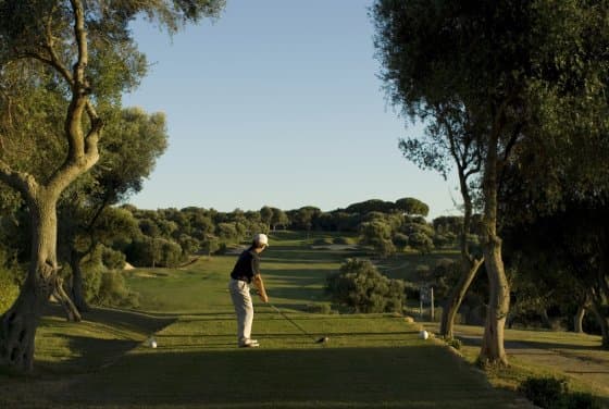Main image of Campo de Golf Dehesa Montenmedio
