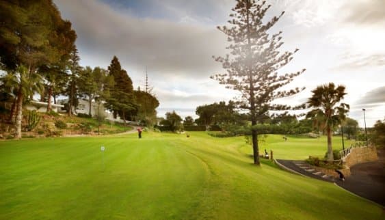 Cover von Album 1 von Aloha Golf
