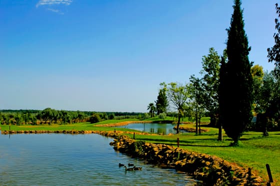 Hauptbild von Club de Campo Las Minas Golf