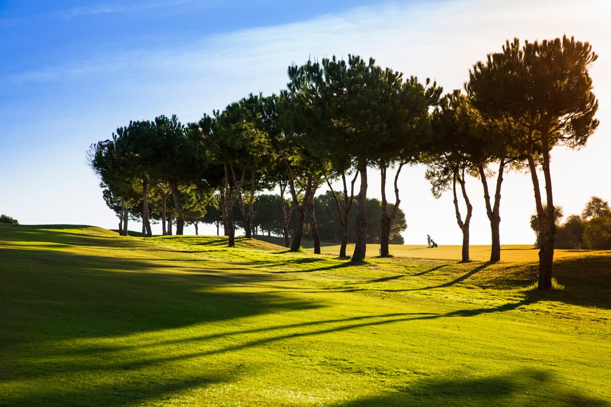 Cover von Album 1 von Club Deportivo Añoreta Golf
