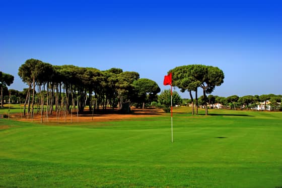 Cover von Album 1 von Golf Nuevo Portil