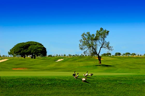 Cover of album 1 from Villa Nueva Golf & Croquet