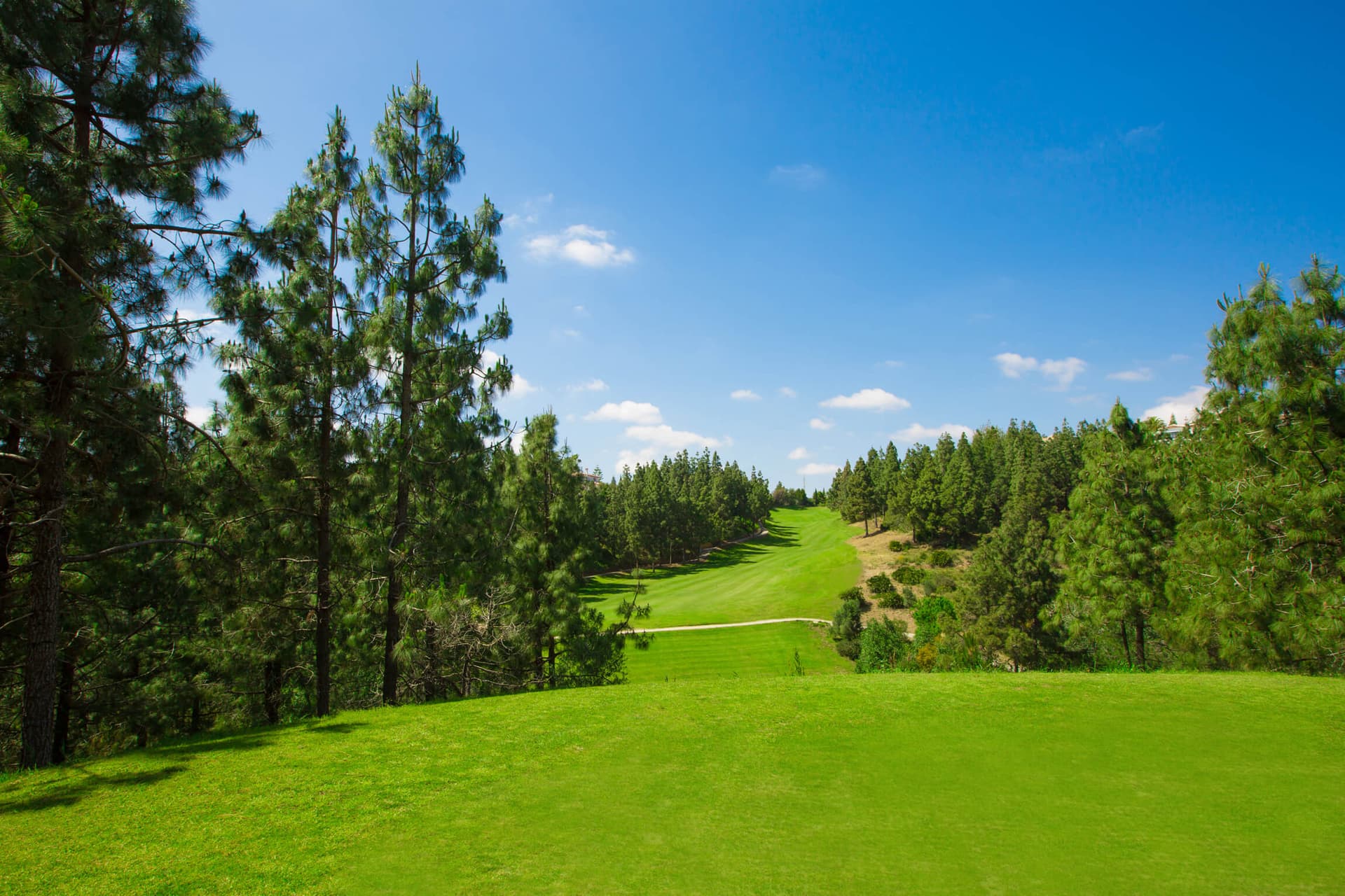 Cover von Album 1 von El Chaparral Golf Club