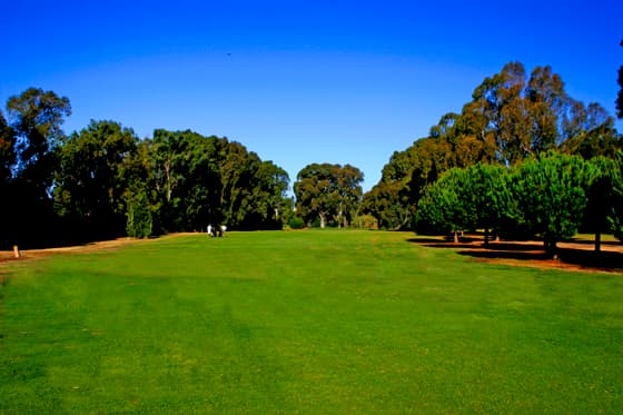 Cover von Album 1 von Rota Club de Golf