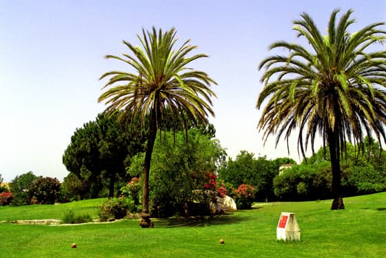 Hauptbild von Club de Golf El Coto