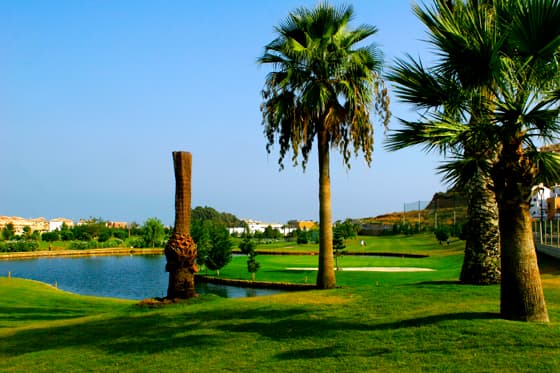 Hauptbild von La Noria Golf And Resort